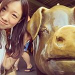 11312542_1043136262393503_49228672_a