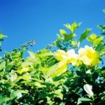 10549903_704737086241395_1929971532_a