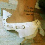 11349382_504574276366167_1060501723_a