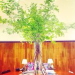 11352883_1590774717863137_906778916_a