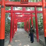 12081292_1702304813331723_524763683_a