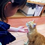 11116866_1657967737821324_720949455_a