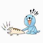 11356608_926078040791638_2112614435_a