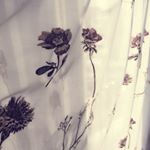 914621_195998907435475_1319862190_a