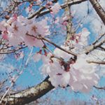 1538331_1144659528891454_1967943124_a