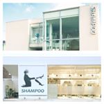 11252180_407060542833390_1090561413_a