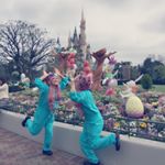 12965934_493789520824566_1044754050_a