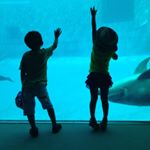 11950733_434102503447231_1817269762_a