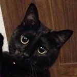 11252618_985343811503765_1467195393_a