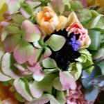 11380042_1114341911912788_411025437_a