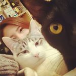 13129823_535348220006441_1895136562_a