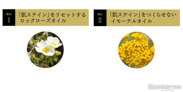 「ローズロックオイル」で「肌ステイン」を除去し、「イモーテルオイル」で「肌ステイン」の生成を防ぐ