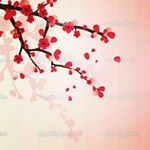 12822577_1588040498186312_407347815_a