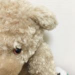 12552424_534193206748551_1366005457_a