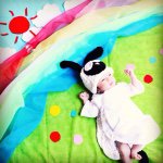 11417226_1601606313460524_1861835739_a