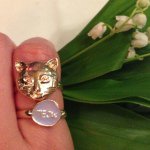 10919569_792371404189992_901154577_a