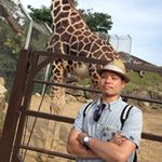 1169152_439557839588895_1486425716_a