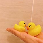 13151108_1724423064464217_1215436878_a