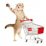 928847_717406958404494_1642726614_a