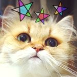 10375635_1507743212779054_117860370_a