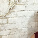 11850405_909684489150536_1004617569_a