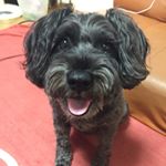 10375766_1523731077921918_109316993_a