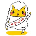 12093459_977345859027694_2069273688_a