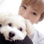 13118062_1743733305842153_727188697_a