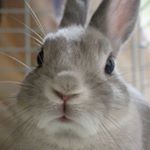 12393732_1215629915243408_1136828824_a