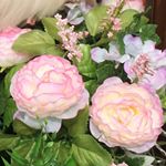 12907202_1106327369431320_998219716_a