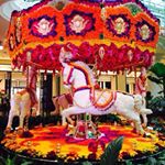 12328414_217374235302170_2122081505_a