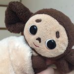 12230962_1078270715540616_924836884_a