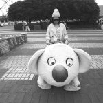 11259527_945594282174958_829973299_a