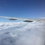 13117810_994645543918460_1393836603_a