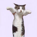 13261031_1741108689440366_732119745_a