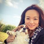 13118017_1627633190890482_329327465_a