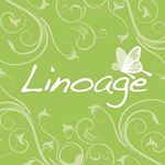 13188189_806954156104982_1193753408_a