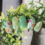 12519532_973934659380602_949467083_a