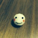 11254060_1626938760927438_42853382_a