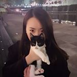 12317474_1517196535274757_432430960_a