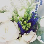 13181398_1620239211572448_1248252006_a