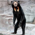 11348379_1455787268067642_1801960193_a