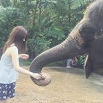 13129573_1101704473252057_1283917582_a