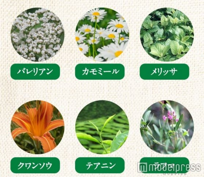 6種のハーブ配合でリラックス効果アップ