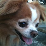 11906257_128390560838194_791820181_a