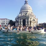 11850029_503419619807866_1997002340_a