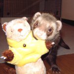 11248742_1451024228540697_1538801712_a