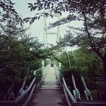 12825885_1685694535034076_834535443_a