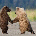 11243930_1477476755897888_1390095080_a