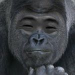 12749841_193246987708458_23998414_a